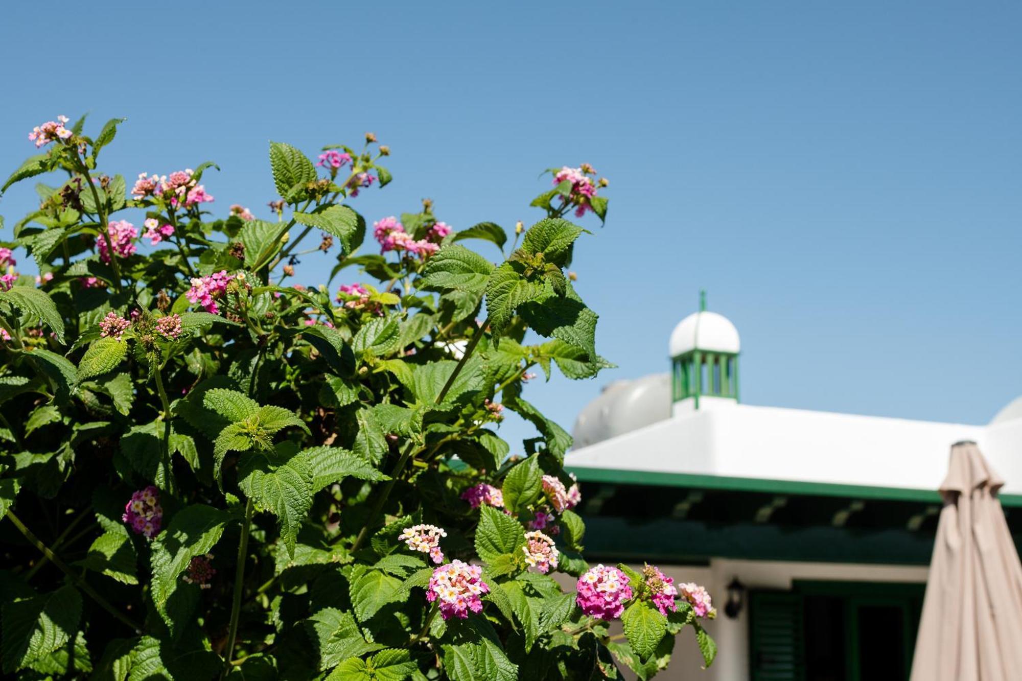 Casa Chica Villa Плая Бланка Екстериор снимка